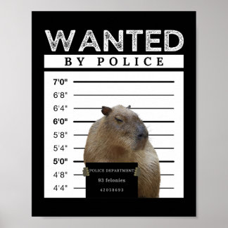 Capybara Queria Mugshot Capybara Meme Poster