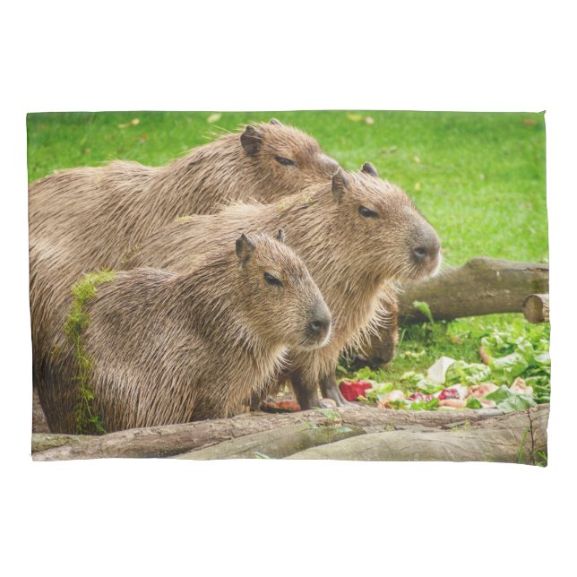 Capybara Trio (Frente)