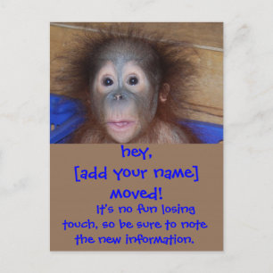 Cara bonito dos anúncios moventes