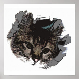 Cara de gato - Olhos de Impressão de Poster de gat