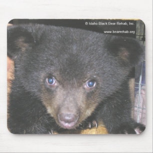 Cara Mousepad do Fim-Acima de Cub de urso