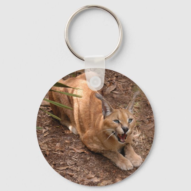 Caracal Lynx Chaveiro (Frente)
