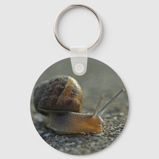 Caracol 1 Chaveiro (Frente)