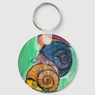 Caracol Chaveiro