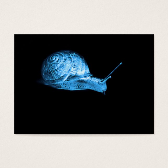 Caracol Neon azul brilhante (Frente)