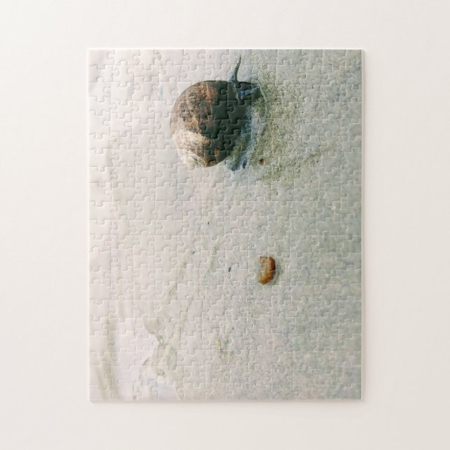 Caracol no quebra-cabeça da praia (Vertical)