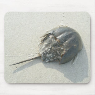 Caranguejo em ferradura Mousepad