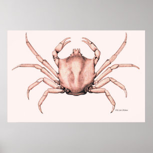Caranguejo Poster