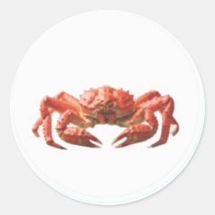 Caranguejo Vermelho Vibrante - Adesivo de Vida Sel