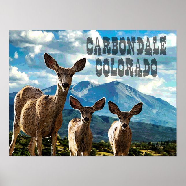 Carbondale, Poster do Colorado (Frente)