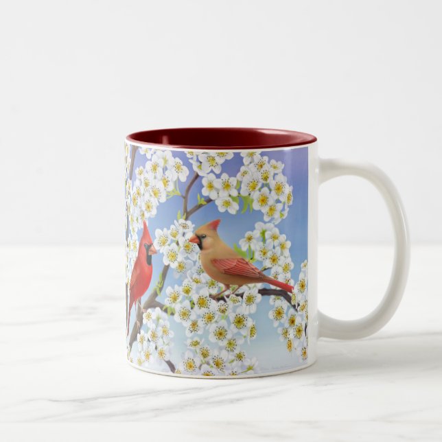 Cardeais em florescer a caneca da árvore de Apple (Direita)