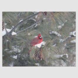 Cardeal 3093 - Papel Tecido