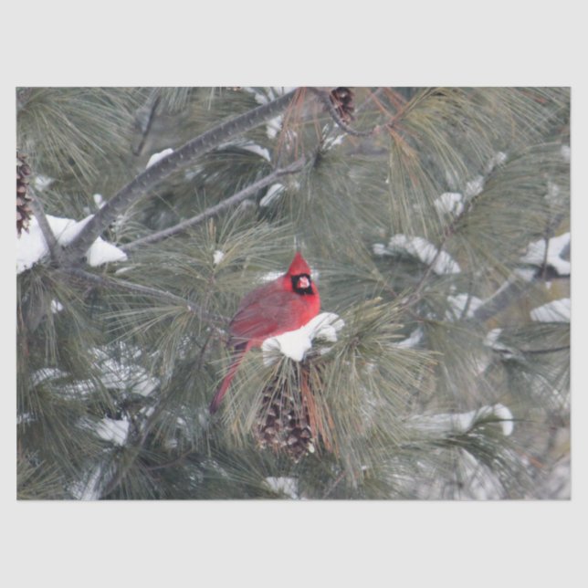 Cardeal 3093 - Papel Tecido (Frente )