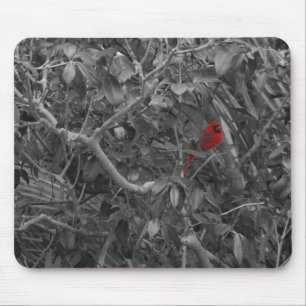 Cardeal em um Mousepad de Árvore