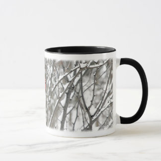 Cardeal na caneca nevado do Dogwood