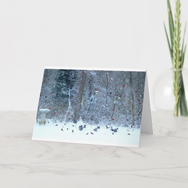 Cardeal no cartão da neve (Frente)