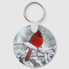 Cardeal Vermelho na Chaveiro de Neve