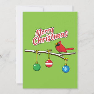 Cardeal Vermelho no Ramal da Bare de Natal - Feliz