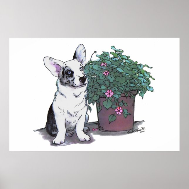 Cardigan Welsh Corgi Impressão ~ Blue Merle (Frente)
