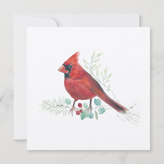 Cardinal Bird Watercolor (Frente)