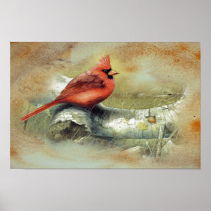 Cardinal Poster
