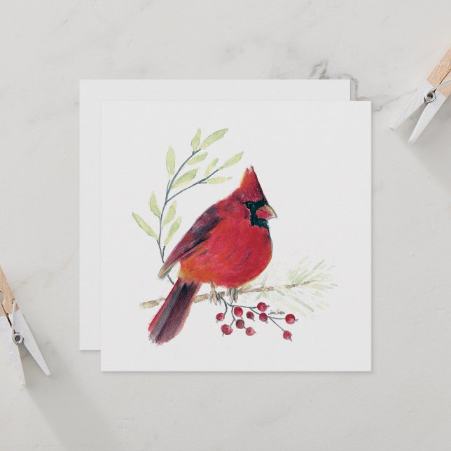 Cardinal Red Bird Art (Beautiful Red Cardinal Watercolor Colored Pencil Blank Note Cards from Jenn Steffen Art)