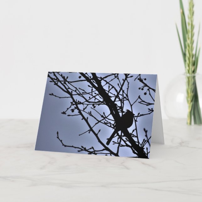 Cardinal Silhouette, cartão (Frente)