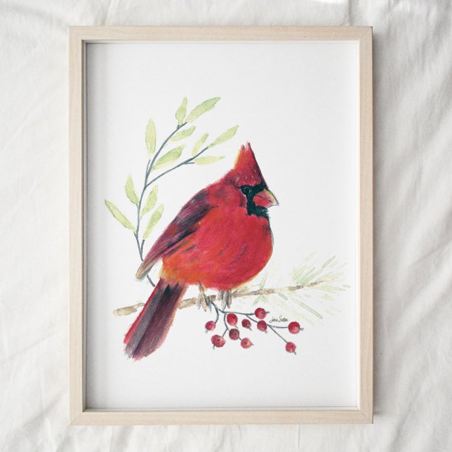 Cardinal Watercolor Art Impressão (Criador carregado)