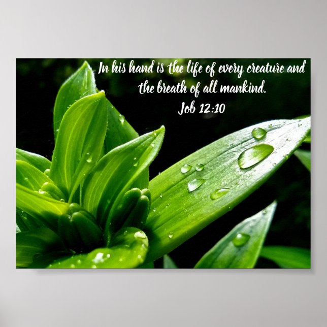 Cargo 12:10, Impressão, Poster de valor (Matte) (Frente)