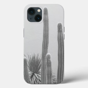 Caribe Cactus Grove Charm 2 #art #nature
