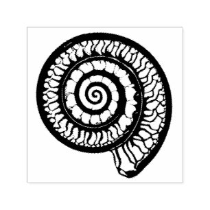 Carimbo Auto Entintado Ammonite Fóssil - Selo Espiral