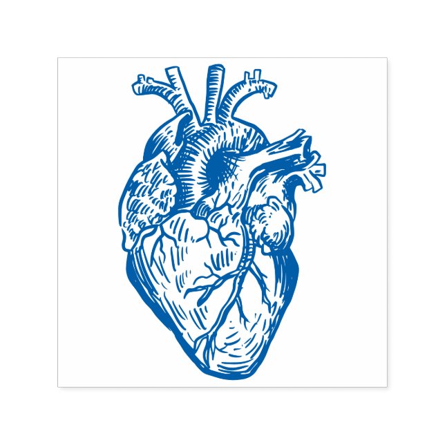 Carimbo Auto Entintado Anatomical Heart (Design)