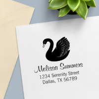 Black Swan Wings up Address