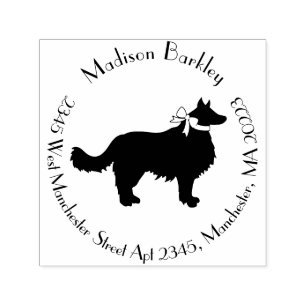 Carimbo Auto Entintado Borda Collie Dog Puppy