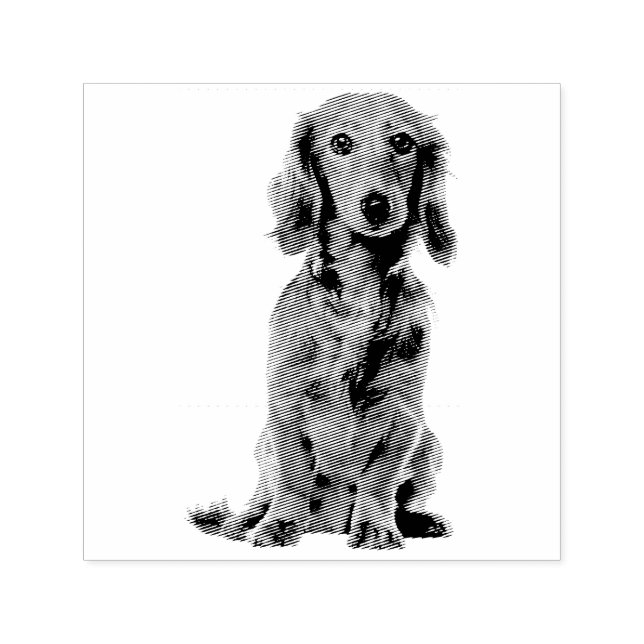 Carimbo Auto Entintado Cachorro Puppy Cutest Cocker (Design)