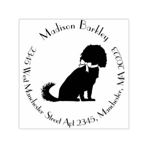 Carimbo Auto Entintado Cavalier King Charles Spaniel Dog Puppy