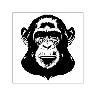 Carimbo Auto Entintado Chimp