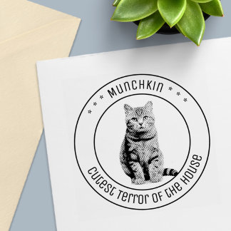 Carimbo Auto Entintado Cute Cat Pet Photo Round