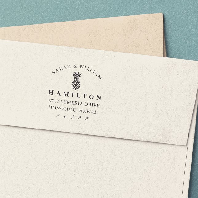 Carimbo Auto Entintado Endereço para devolução de abacaxi chic (Criador carregado)