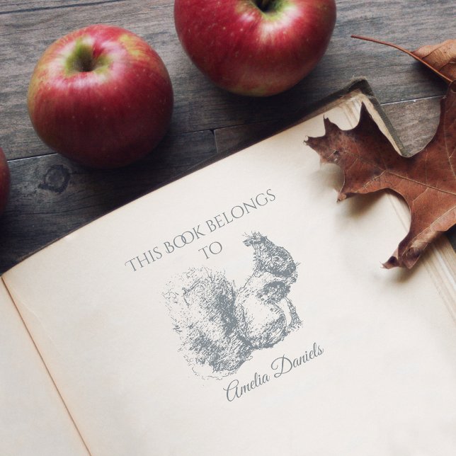 Carimbo Auto Entintado Esquilo Personalizado Este Livro Pertence A (Criador carregado)