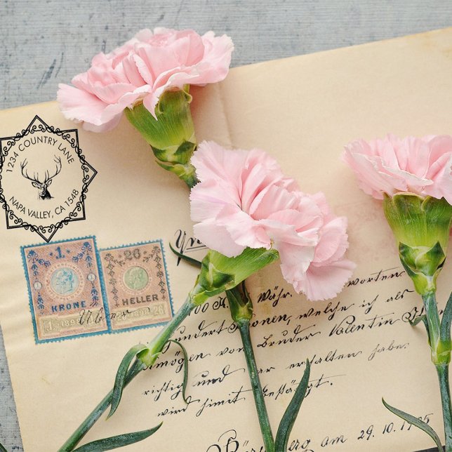 Carimbo Auto Entintado Family Address Stamp With Deer Logo (Criador carregado)