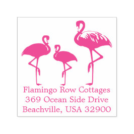 Carimbo Auto Entintado Flamingos Beach Business Address Personalizado