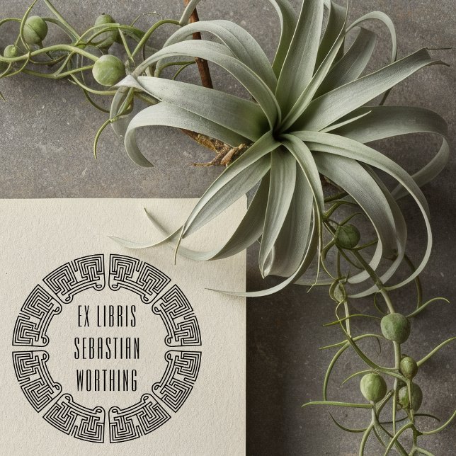 Carimbo Auto Entintado Futuristic Maze Custom Ex Libris Stamp (Criador carregado)