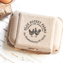 Galinha e galinha de fazenda fresca