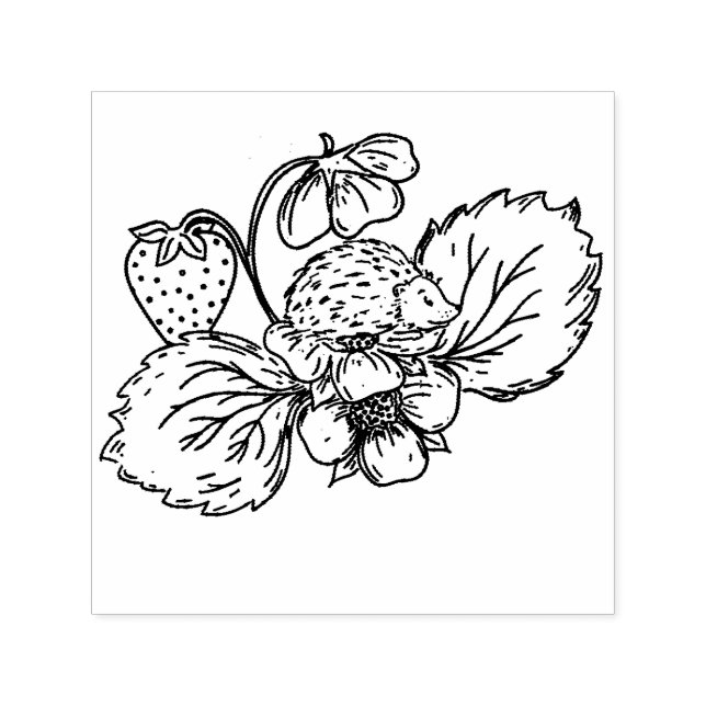 Carimbo Auto Entintado Hedgehog on Strawberry Plant Stamp (Design)