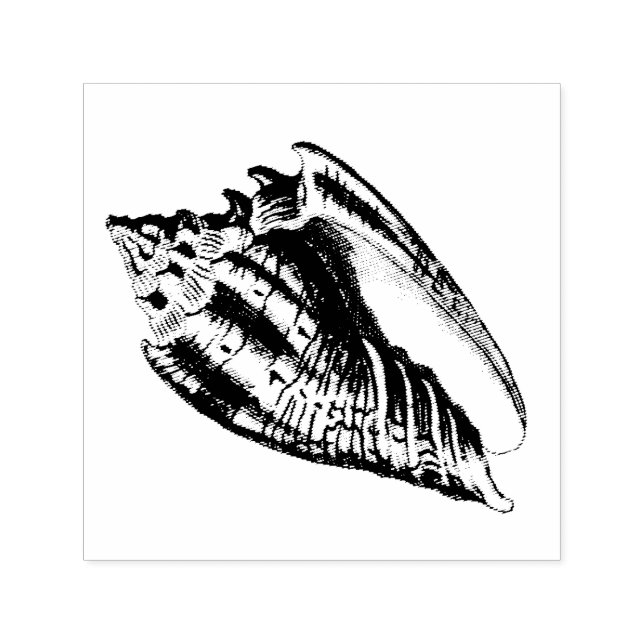 Carimbo Auto Entintado Ilustração de Shell de Conch (Design)