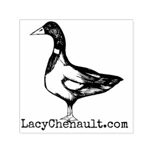 Carimbo Auto Entintado Mallard Duck Nature Amadurece Patos Mallards