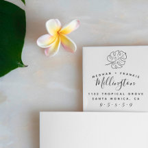 Monstera tropical | Endereço para devolução de Cas