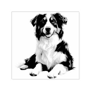 Carimbo Auto Entintado Pastor Australiano Pet Cão Animal Arte