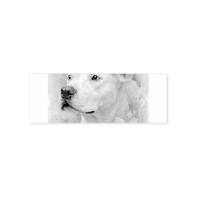 Carimbo Auto Entintado Pit Bull Floral Colorido (Design)